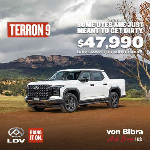 Ldv